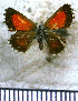  ( - JFDA5681)  @11 [ ] copyright (2025) Center For Collection-Based Research Center For Collection-Based Research