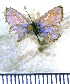  ( - JFDA5689)  @11 [ ] copyright (2025) Center For Collection-Based Research Center For Collection-Based Research