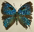  ( - RCB01464)  @11 [ ] by-nc-sa (2025) Robert C. Busby Robert C. Busby