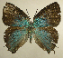  ( - RCB01468)  @11 [ ] by-nc-sa (2025) Robert C. Busby Robert C. Busby