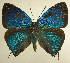  ( - RCB01473)  @11 [ ] by-nc-sa (2025) Robert C. Busby Robert C. Busby