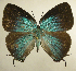  ( - RCB01478)  @11 [ ] by-nc-sa (2025) Robert C. Busby Robert C. Busby