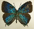  ( - RCB01502)  @11 [ ] by-nc-sa (2025) Robert C. Busby Robert C. Busby