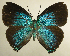  ( - RCB01503)  @11 [ ] by-nc-sa (2025) Robert C. Busby Robert C. Busby