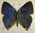  ( - RCB01537)  @11 [ ] by-nc-sa (2025) Robert C. Busby Robert C. Busby