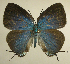  ( - RCB01541)  @11 [ ] by-nc-sa (2025) Robert C. Busby Robert C. Busby