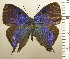  ( - RCB01557)  @11 [ ] by-nc-sa (2025) Robert C. Busby Robert C. Busby