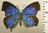  ( - RCB01559)  @11 [ ] by-nc-sa (2025) Robert C. Busby Robert C. Busby