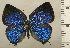  ( - RCB01857)  @11 [ ] by-nc-sa (2025) Robert C. Busby Robert C. Busby