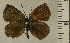  ( - RCB01871)  @11 [ ] by-nc-sa (2024) Robert C. Busby Robert C. Busby