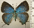 ( - RCB01929)  @11 [ ] by-nc-sa (2025) Robert C. Busby Robert C. Busby
