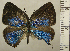  ( - RCB01942)  @11 [ ] by-nc-sa (2025) Robert C. Busby Robert C. Busby