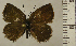 ( - RCB01949)  @11 [ ] by-nc-sa (2024) Robert C. Busby Robert C. Busby