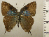  ( - RCB02005)  @11 [ ] by-nc-sa (2025) Robert C. Busby Robert C. Busby