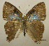  ( - RCB02007)  @11 [ ] by-nc-sa (2025) Robert C. Busby Robert C. Busby