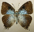  ( - RCB02012)  @11 [ ] by-nc-sa (2025) Robert C. Busby Robert C. Busby