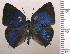  ( - RCB03028)  @11 [ ] by-nc-sa (2025) Robert C. Busby Robert C. Busby