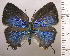 ( - RCB03085)  @11 [ ] by-nc-sa (2025) Robert C. Busby Robert C. Busby