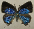  ( - RCB03125)  @11 [ ] by-nc-sa (2025) Robert C. Busby Robert C. Busby
