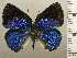  ( - RCB03166)  @11 [ ] by-nc-sa (2025) Robert C. Busby Robert C. Busby