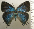  ( - RCB03185)  @11 [ ] by-nc-sa (2025) Robert C. Busby Robert C. Busby