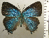  ( - RCB03186)  @11 [ ] by-nc-sa (2025) Robert C. Busby Robert C. Busby