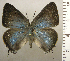  ( - RCB03187)  @11 [ ] by-nc-sa (2025) Robert C. Busby Robert C. Busby