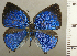  ( - RCB03262)  @11 [ ] by-nc-sa (2025) Robert C. Busby Robert C. Busby
