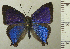 ( - RCB04430)  @11 [ ] by-nc-sa (2025) Robert C. Busby Robert C. Busby