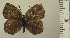  ( - RCB04948)  @11 [ ] by-nc-sa (2024) Robert C. Busby Robert C. Busby