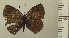  ( - RCB04949)  @11 [ ] by-nc-sa (2024) Robert C. Busby Robert C. Busby