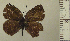  ( - RCB04950)  @11 [ ] by-nc-sa (2024) Robert C. Busby Robert C. Busby