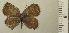  ( - RCB04951)  @11 [ ] by-nc-sa (2024) Robert C. Busby Robert C. Busby