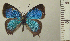  ( - RCB05009)  @11 [ ] by-nc-sa (2024) Robert C. Busby Robert C. Busby