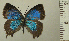  ( - RCB05014)  @11 [ ] by-nc-sa (2024) Robert C. Busby Robert C. Busby