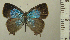  ( - RCB05017)  @11 [ ] by-nc-sa (2024) Robert C. Busby Robert C. Busby