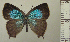  ( - RCB05029)  @11 [ ] by-nc-sa (2024) Robert C. Busby Robert C. Busby