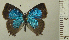  ( - RCB05033)  @11 [ ] by-nc-sa (2024) Robert C. Busby Robert C. Busby