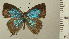  ( - RCB05041)  @11 [ ] by-nc-sa (2024) Robert C. Busby Robert C. Busby