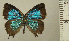  ( - RCB05042)  @11 [ ] by-nc-sa (2024) Robert C. Busby Robert C. Busby