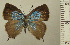  ( - RCB05043)  @11 [ ] by-nc-sa (2024) Robert C. Busby Robert C. Busby