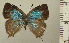  ( - RCB05049)  @11 [ ] by-nc-sa (2024) Robert C. Busby Robert C. Busby