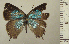  ( - RCB05050)  @11 [ ] by-nc-sa (2024) Robert C. Busby Robert C. Busby