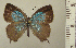  ( - RCB05052)  @11 [ ] by-nc-sa (2024) Robert C. Busby Robert C. Busby