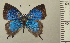  ( - RCB05053)  @11 [ ] by-nc-sa (2024) Robert C. Busby Robert C. Busby