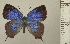  ( - RCB05054)  @11 [ ] by-nc-sa (2024) Robert C. Busby Robert C. Busby