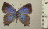  ( - RCB05055)  @11 [ ] by-nc-sa (2024) Robert C. Busby Robert C. Busby