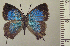  ( - RCB05058)  @11 [ ] by-nc-sa (2024) Robert C. Busby Robert C. Busby