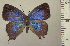  ( - RCB05060)  @11 [ ] by-nc-sa (2024) Robert C. Busby Robert C. Busby