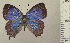  ( - RCB05061)  @11 [ ] by-nc-sa (2024) Robert C. Busby Robert C. Busby
